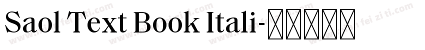Saol Text Book Itali字体转换